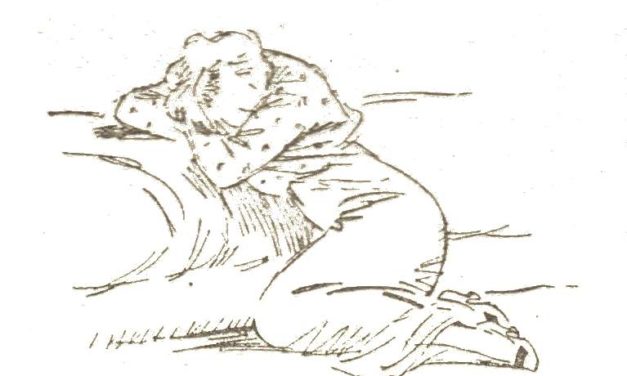 Haiku (stoviglie sente)