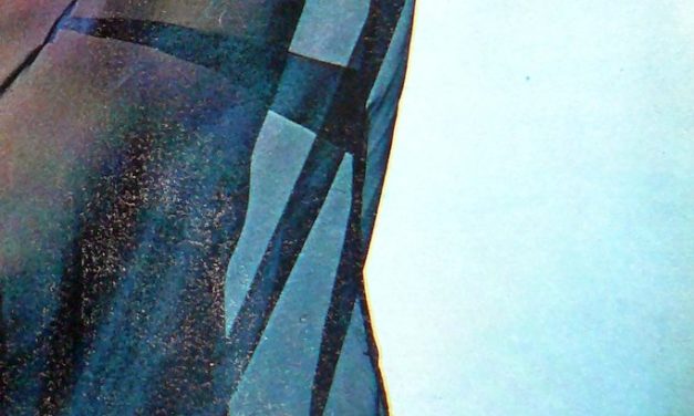 Differenti le vedute