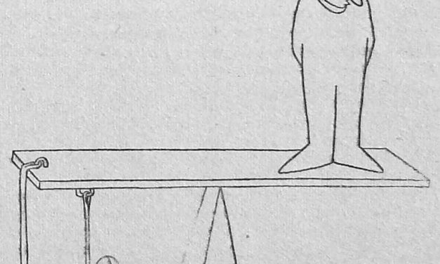 Se i pazzi delle grandi città