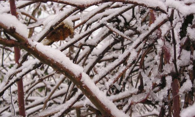 Il più lieto finire