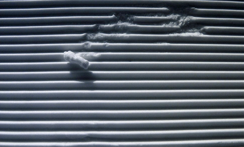 Il problema più sentito di tutti