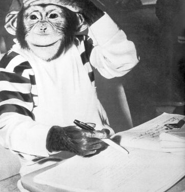 Come far fare la bella vita a un romanzo inedito